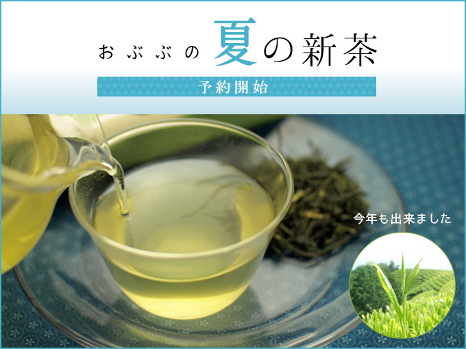 夏の新茶