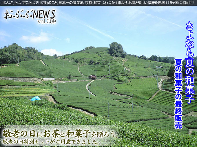 茶畑とアジサイ