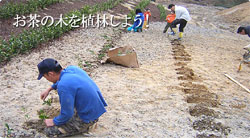 コロンバス