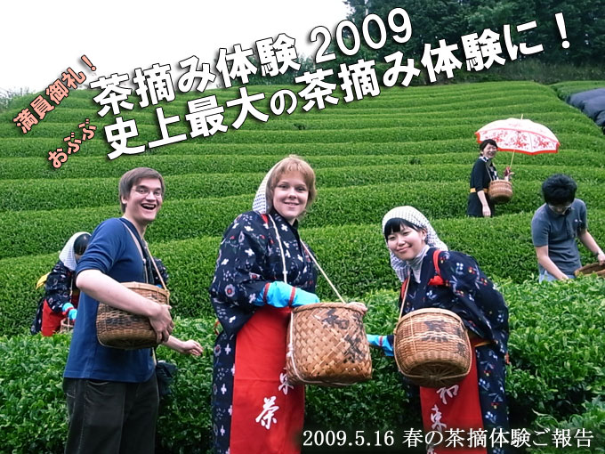 報告 史上最大 春の茶摘み体験２００９ お茶の通販 京都おぶぶ茶苑ブログ おぶログ